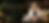 karen website banner.png