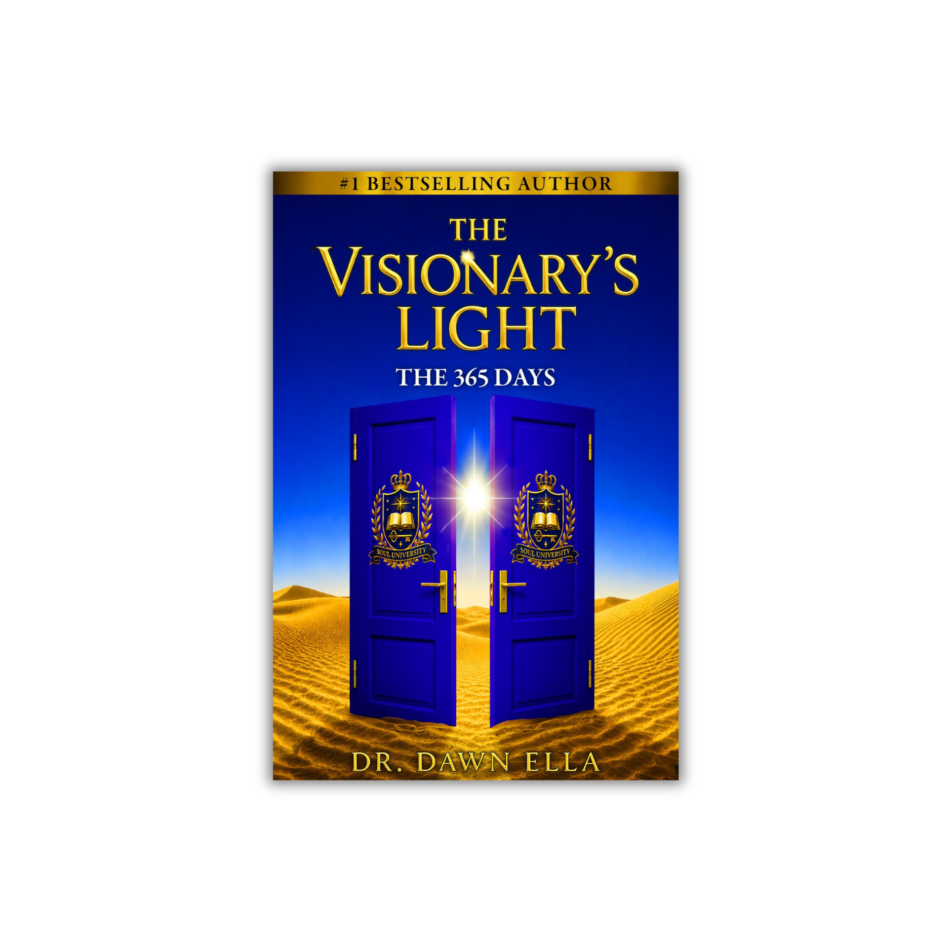 The Visionary's Light: The 365 Days (Book 3)