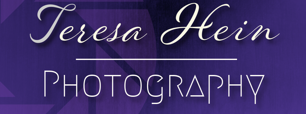 Teresa Hein Photography Cover 1.png