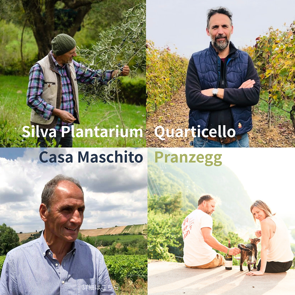 4月7日㈫トレジャーフロムネイチャー藤沢試飲会＠バレーナ