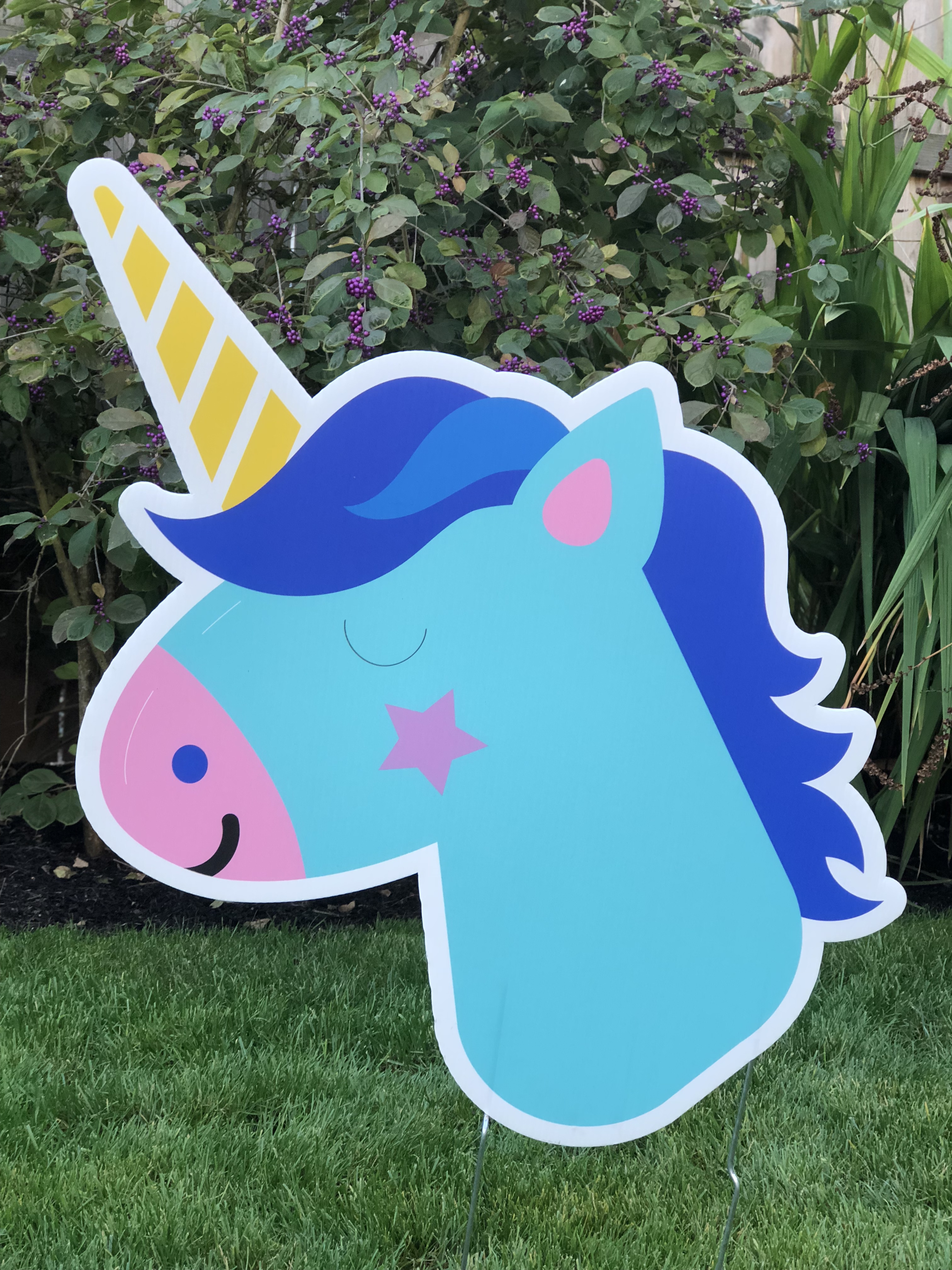 Blue Unicorn