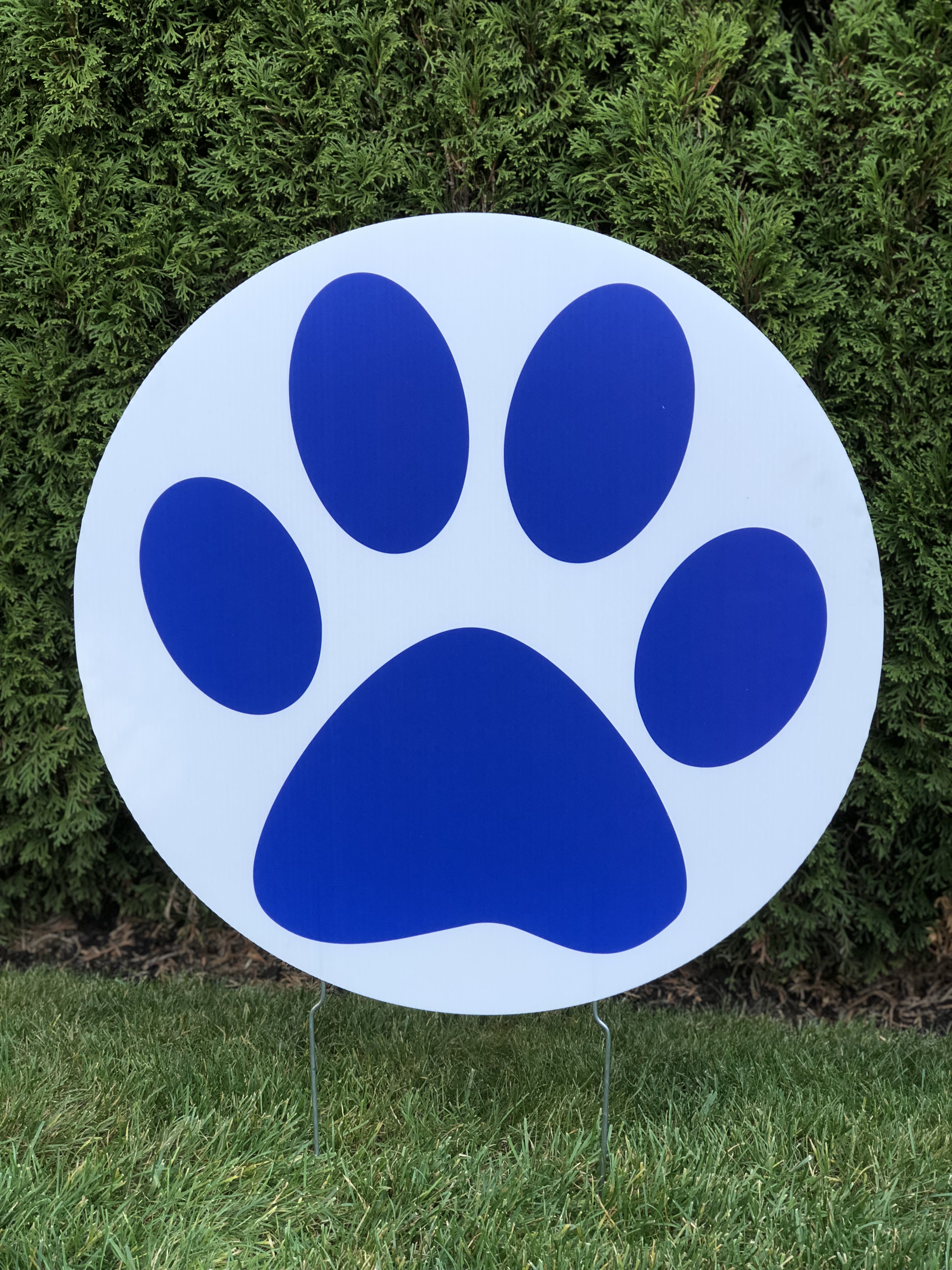 Blue Paw