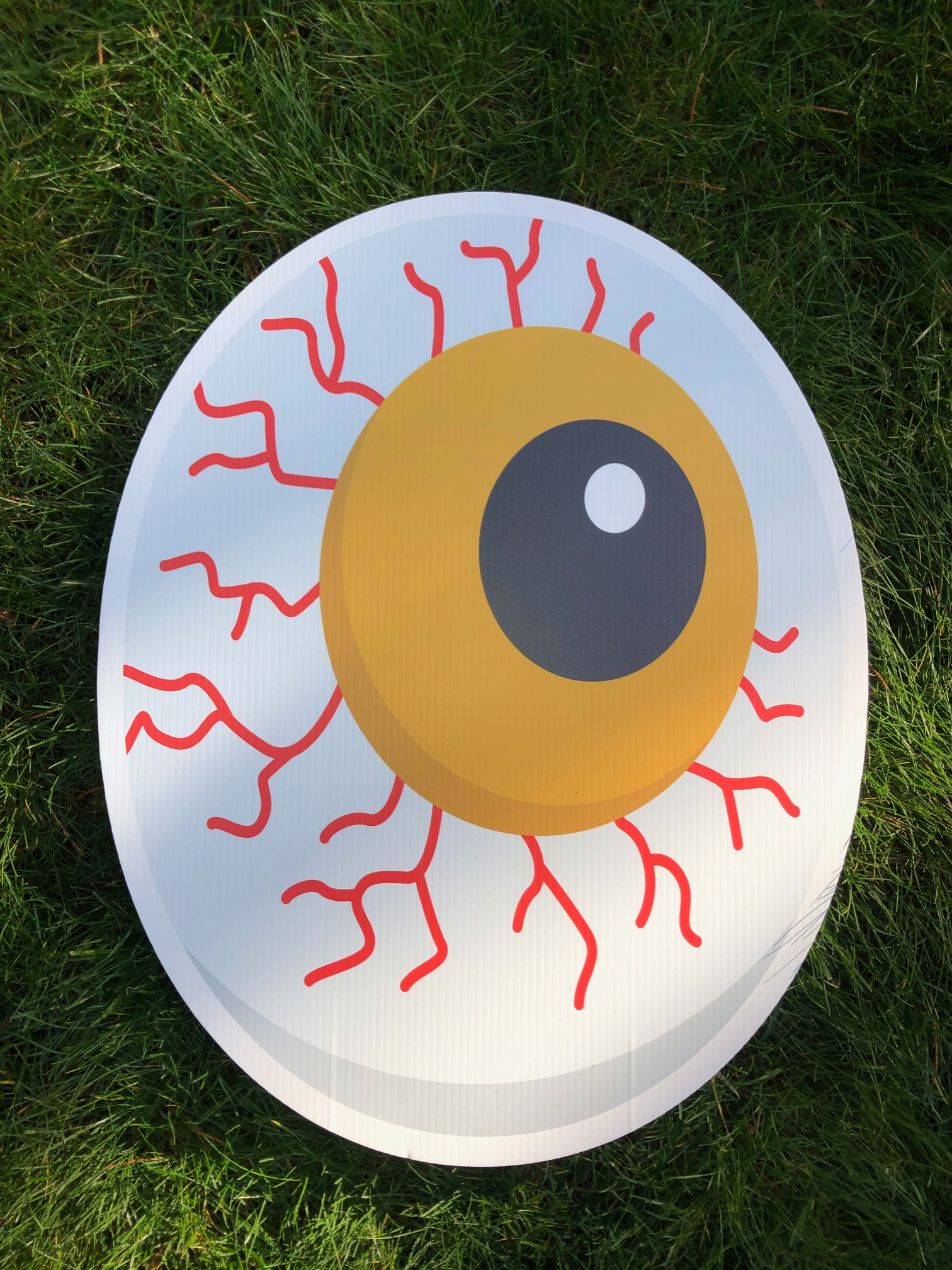 Eye Ball