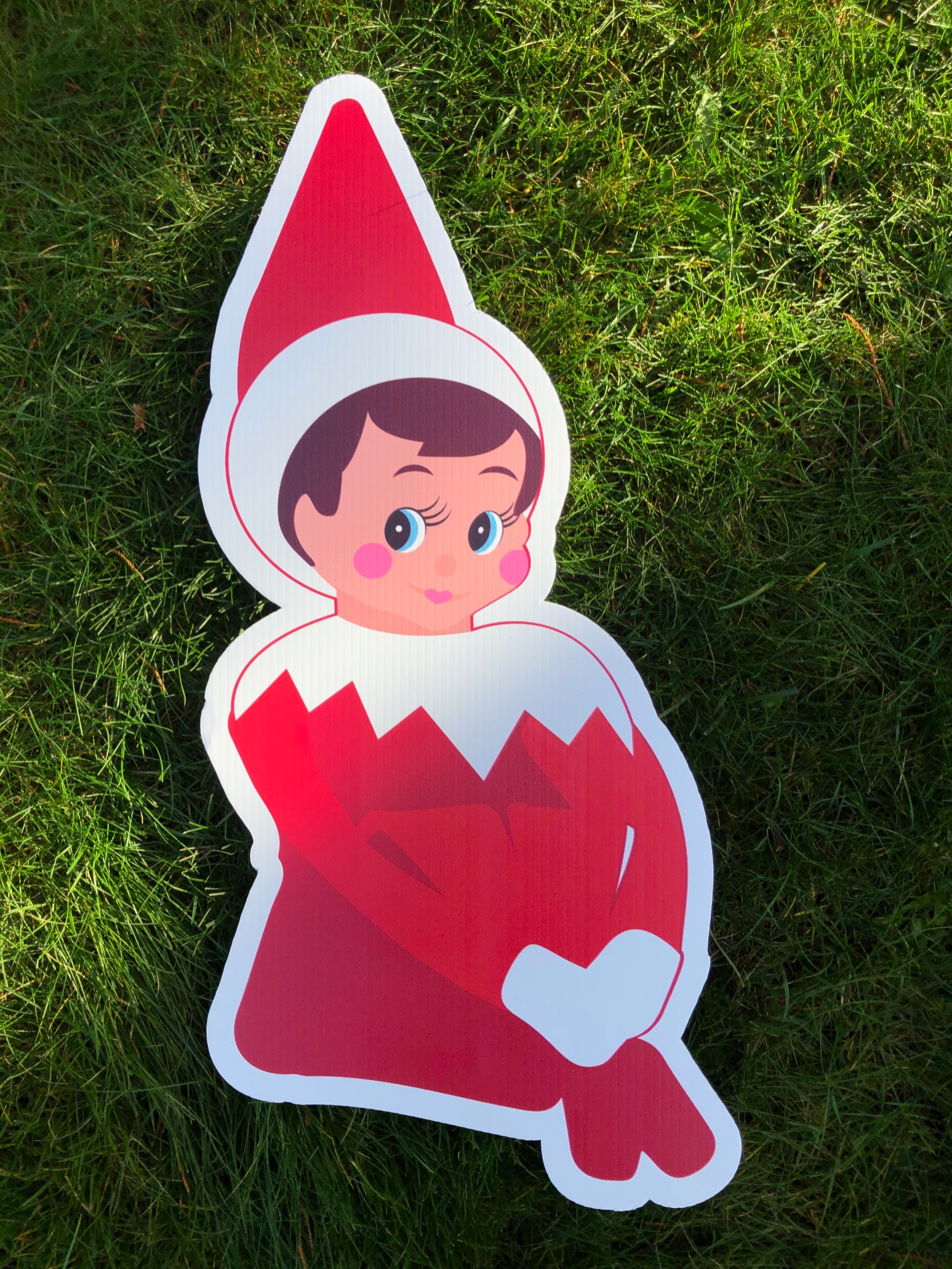 Elf on the Shelf