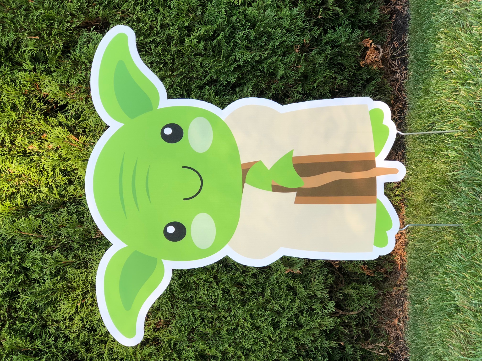 Yoda