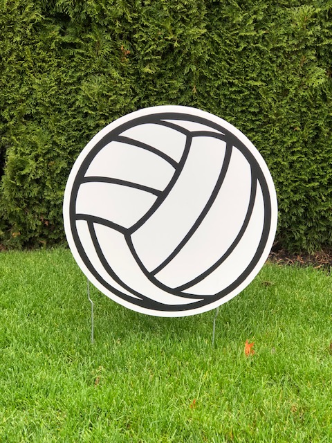 Volleyball