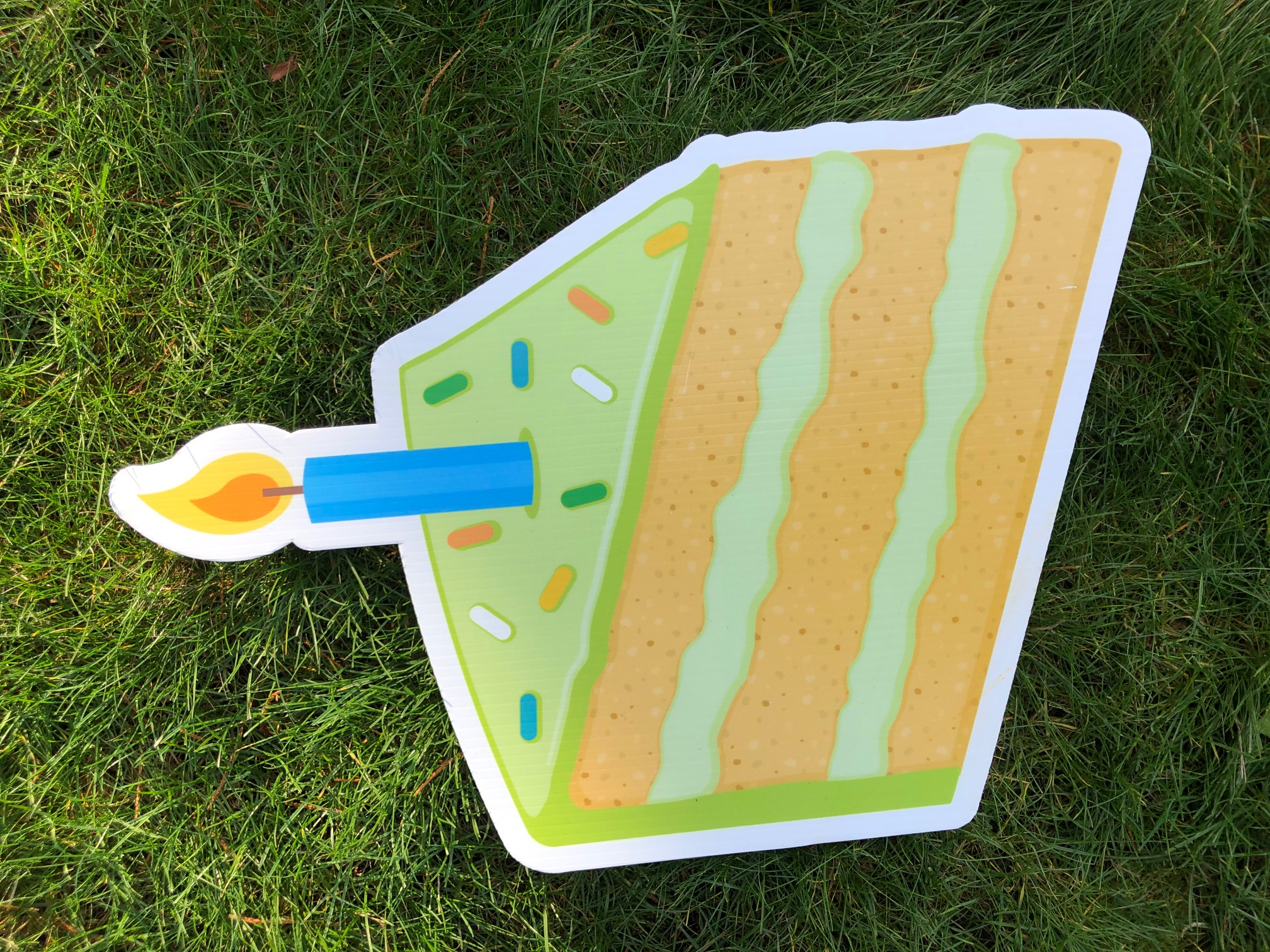 Green Cake Slice