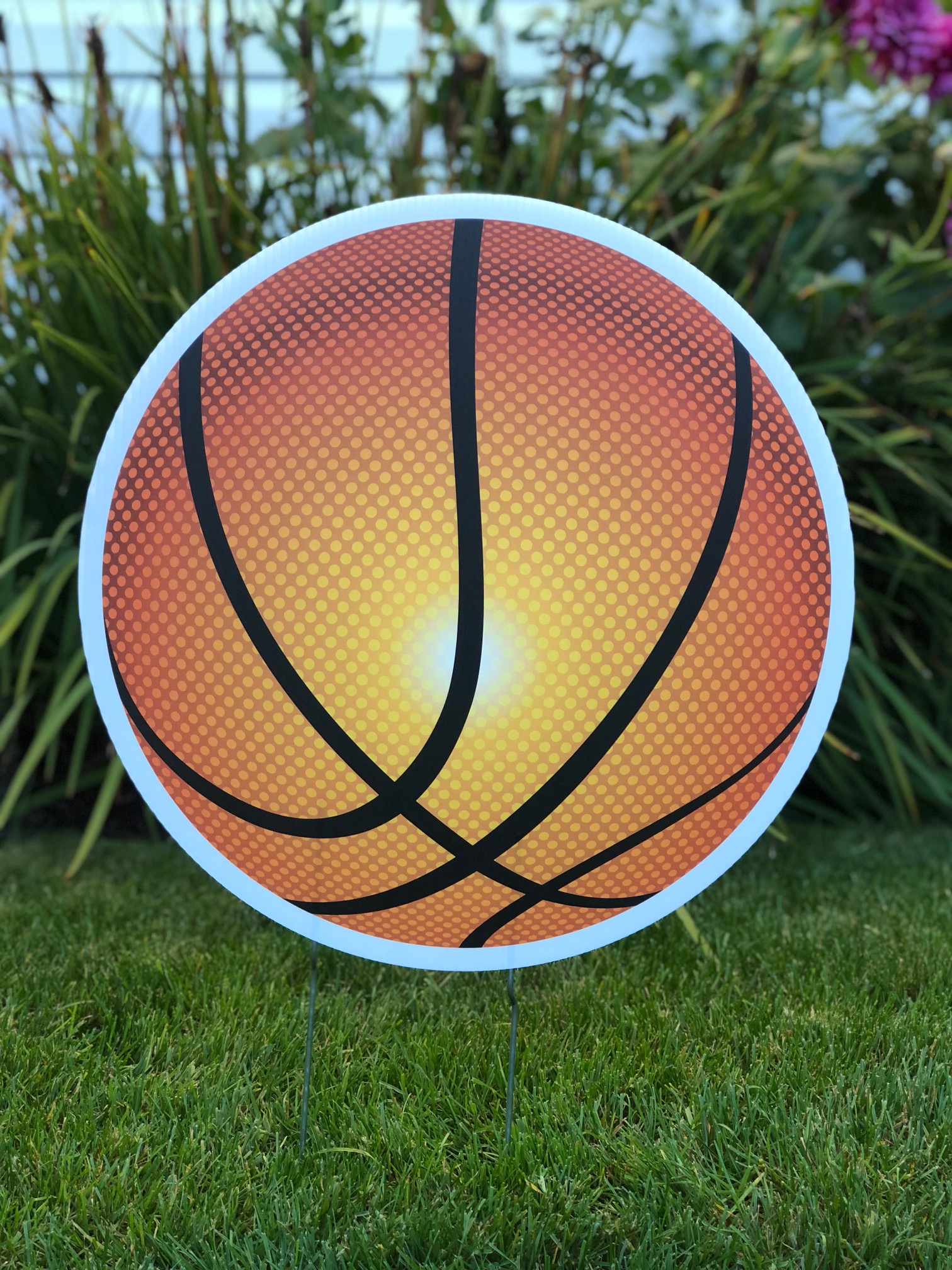 Basketball