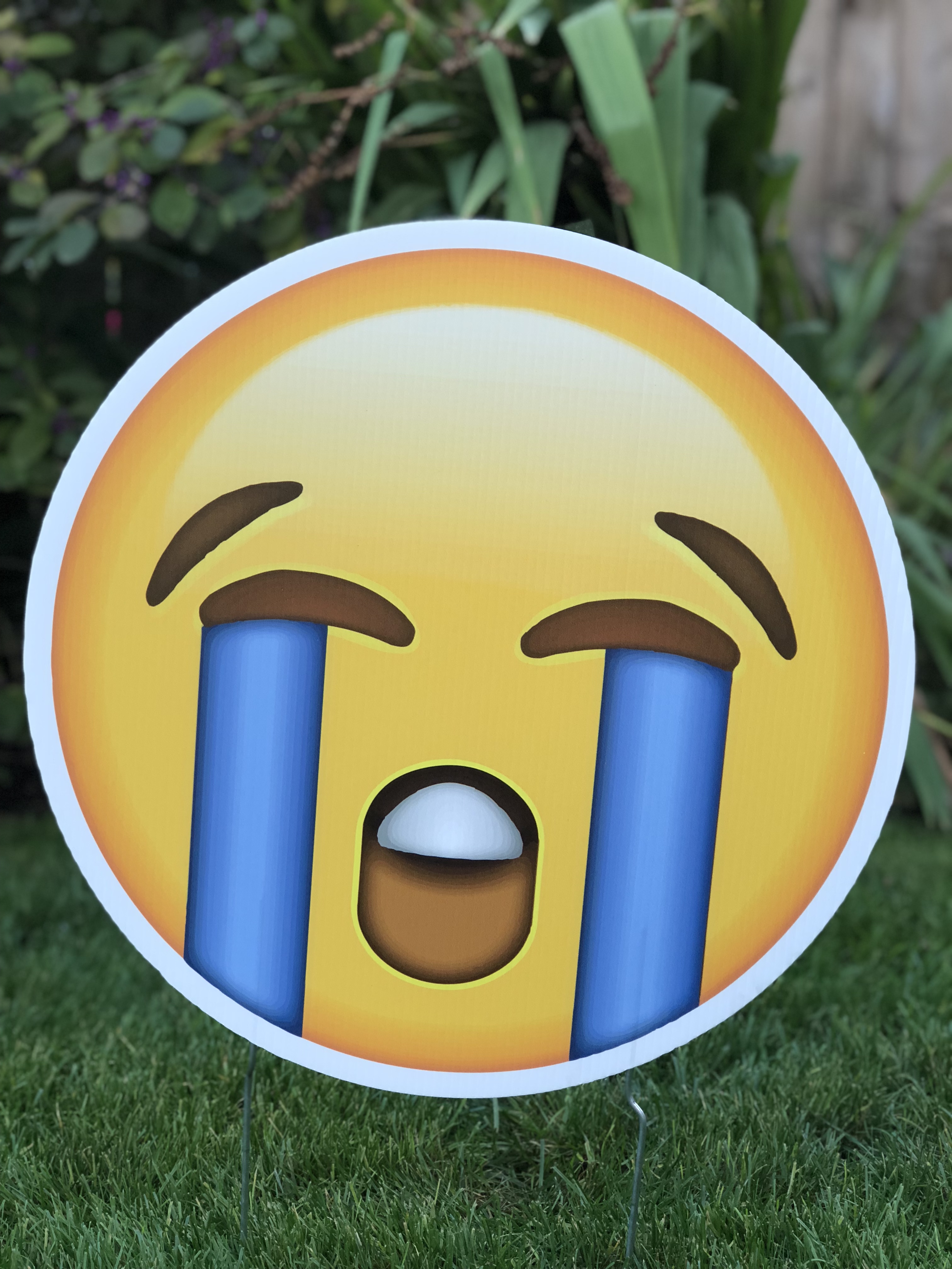 Laugh Cry Emoji