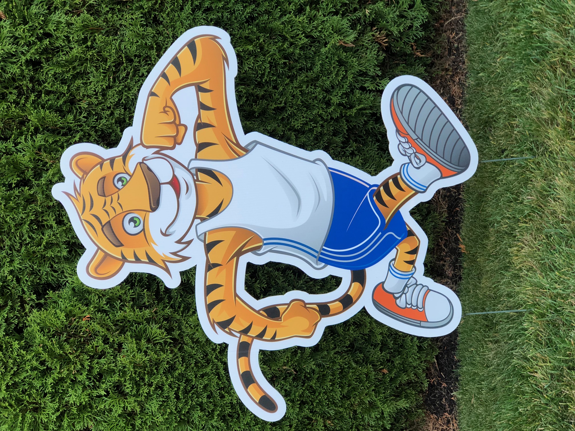 Tiger