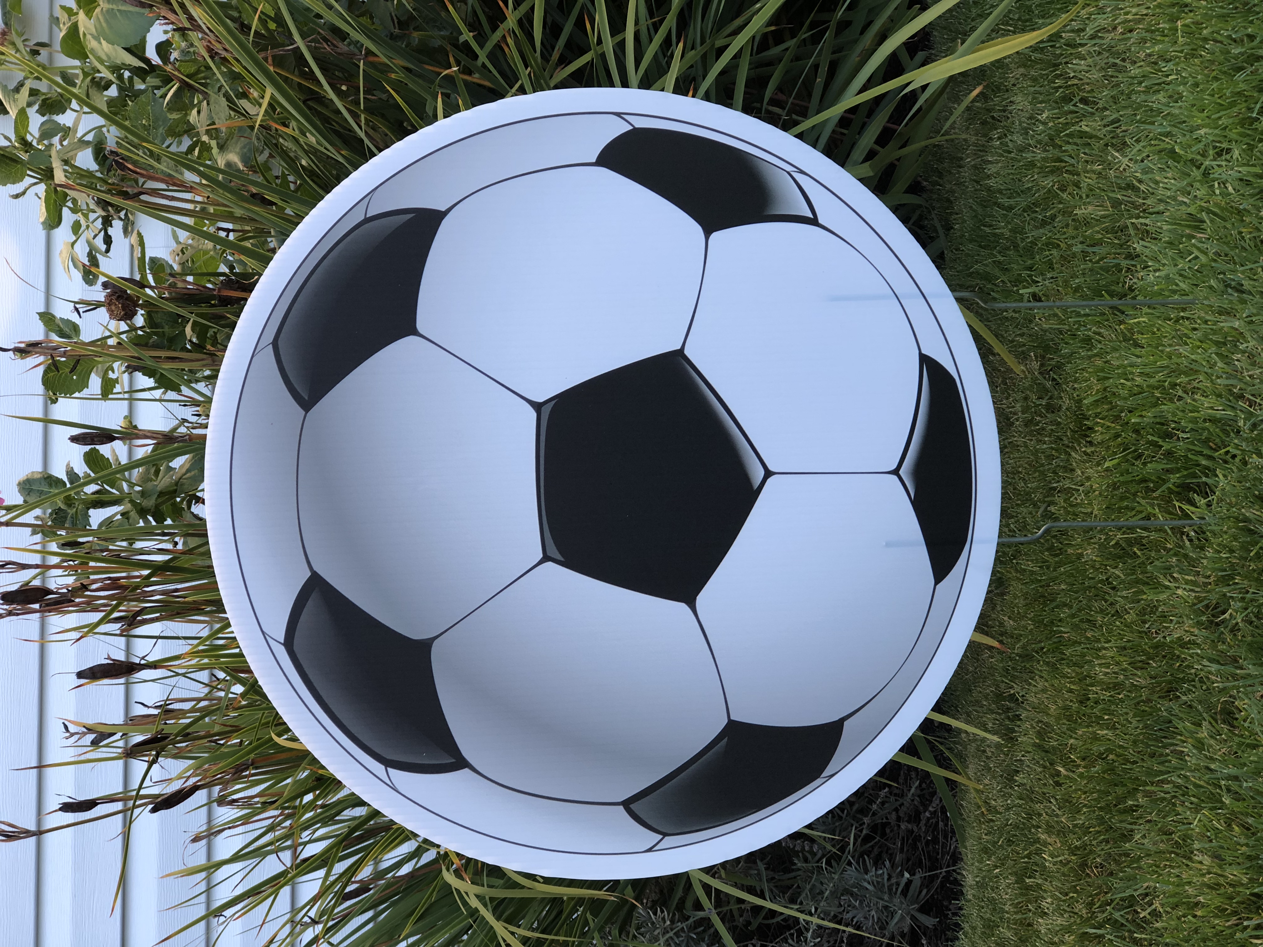 Soccer Ball