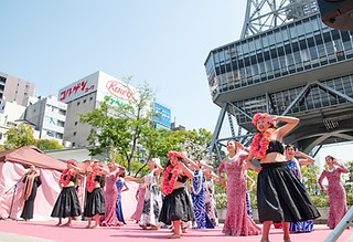 2025 0413 HISAYA | POHAKU MUSIC