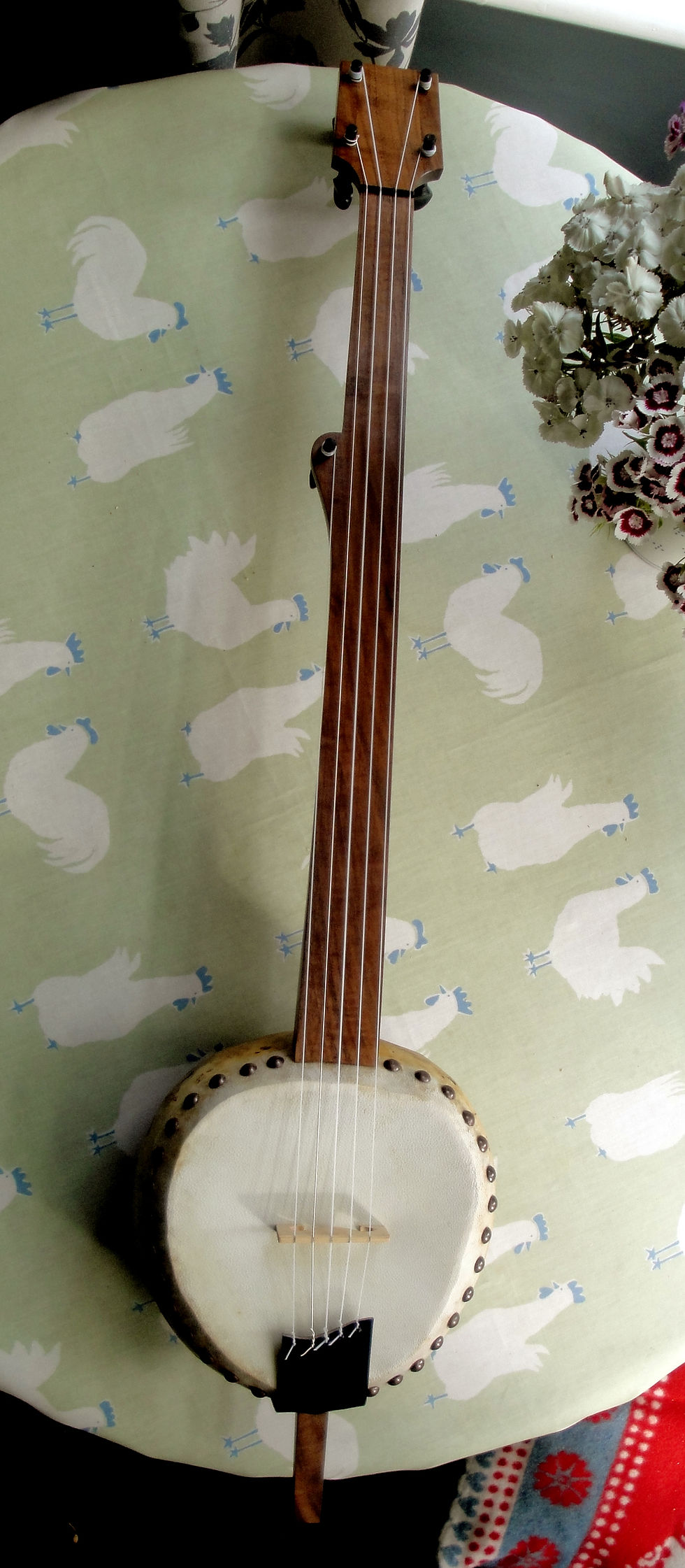 gourd banjo