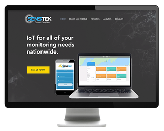 SENSTEK SYSTEMS