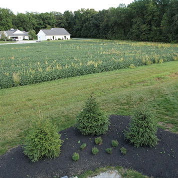 Mowery Landscape Design_0006_dji_fly_20220913_172654_35_1663104743765_photo.jpg