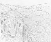 Background draft 2