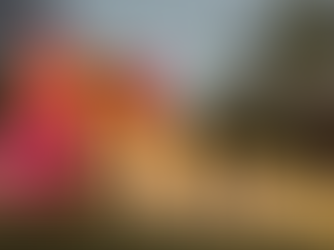 Why Professional Setup Matters for Marquee Rentals