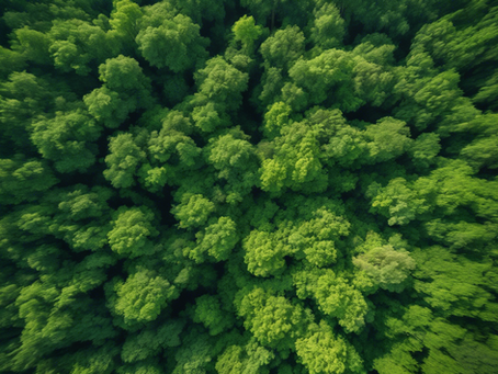 Unlocking Potential: Sustainable Leadership Strategies