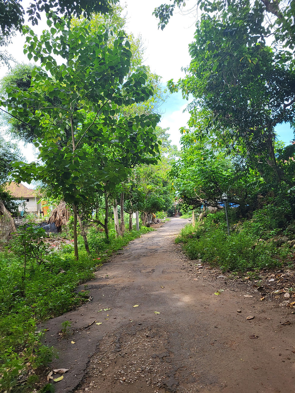 Road of Nusa Penida