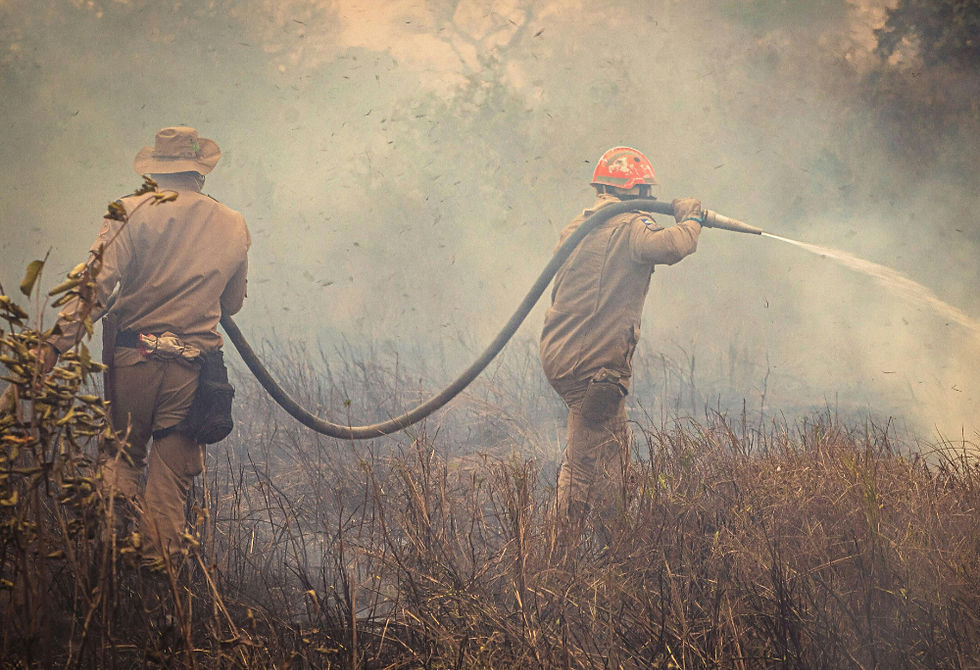 Two firemen putting out wildfires