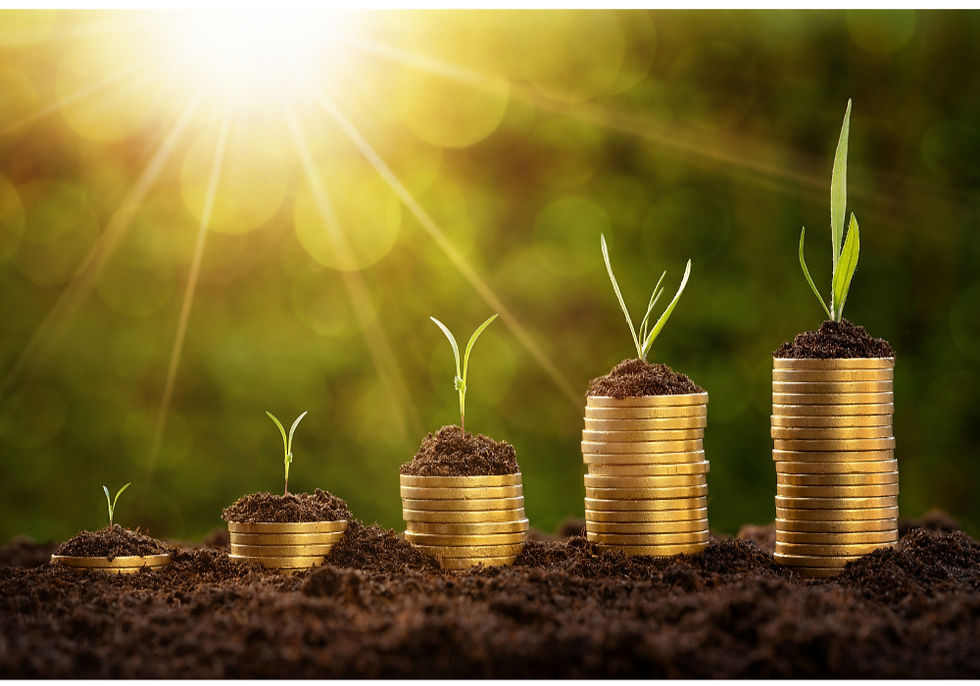 coins in the dirt with plants growing on top of them