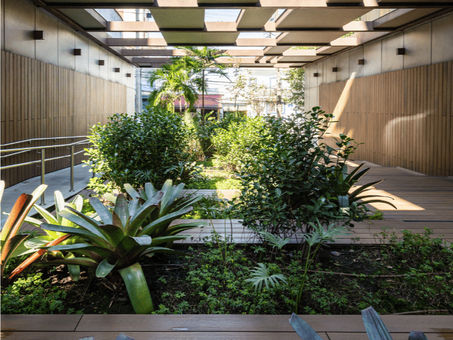 A large indoor garden in a public space