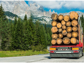 A truck carrying a large load of timber down the highway