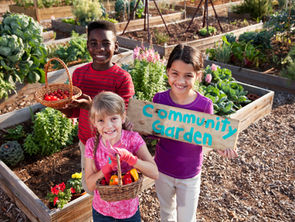 Kids in a Community Garden