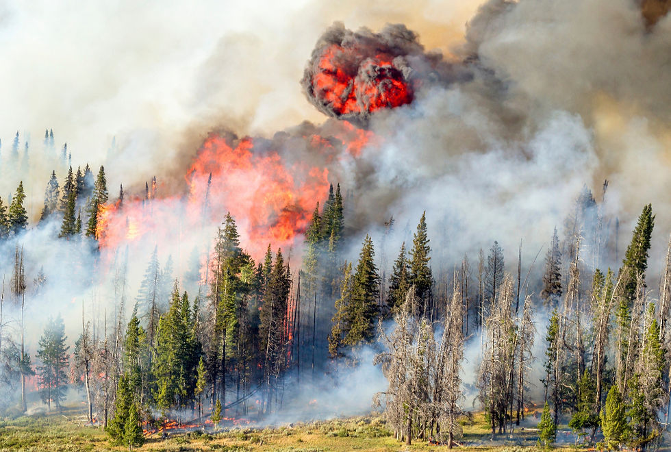 A wildfire burning the side of a mountain