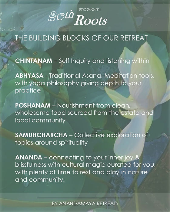 Roots Retreat Info Pack schedule.jpg