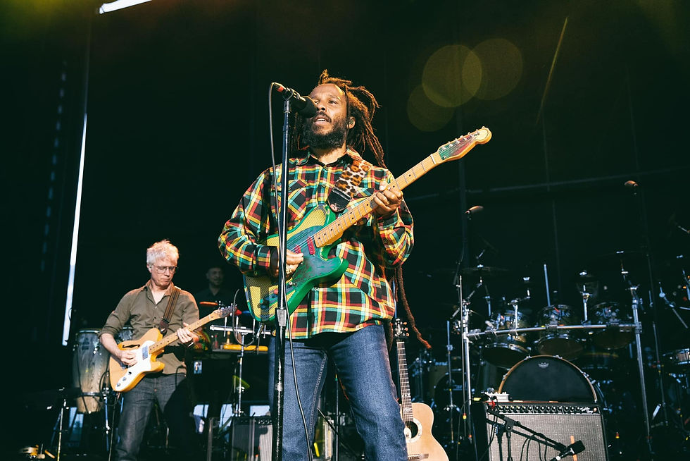 Ziggy Marley - Reggae music, Roots Reggae, Dub