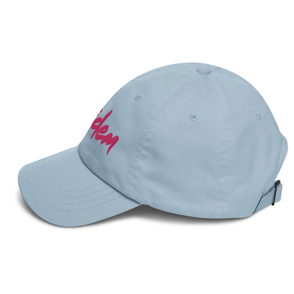 Miniature : 1 SIDEM - Dad hat (multi colors) FREEDOM STREET