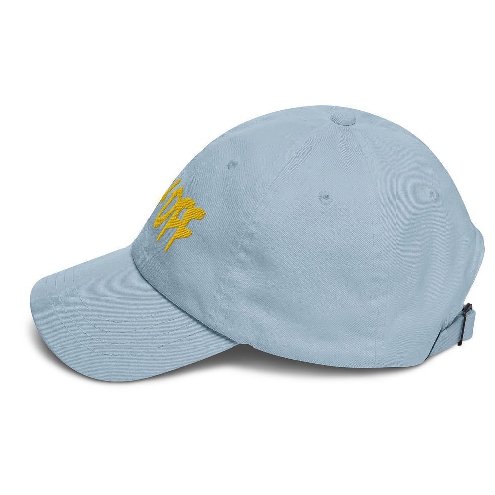 Miniature : RICH OFF - Dad hat (multi colors) FREEDOM STREET