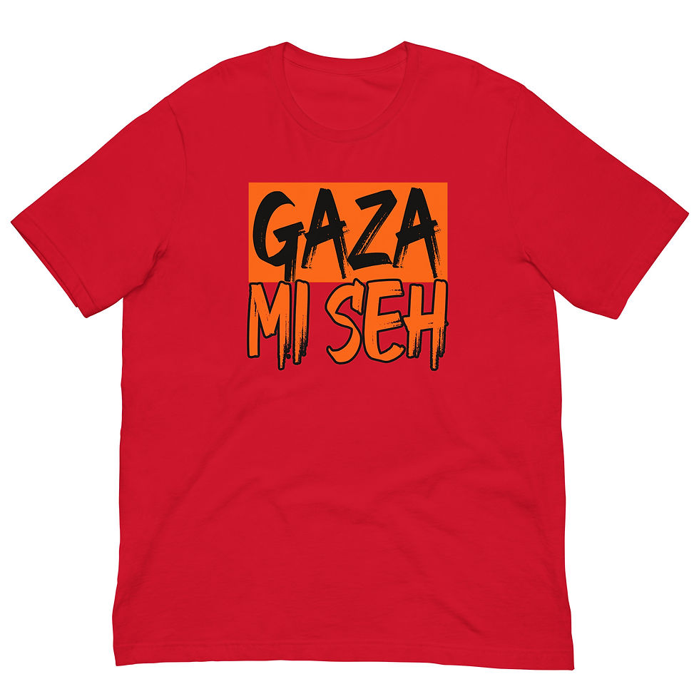 Miniature : GAZA MI SEH - t-shirt (multi colors) FREEDOM STREET