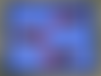 【事業開始のご報告】最初の温かいご支援ありがとうございます!