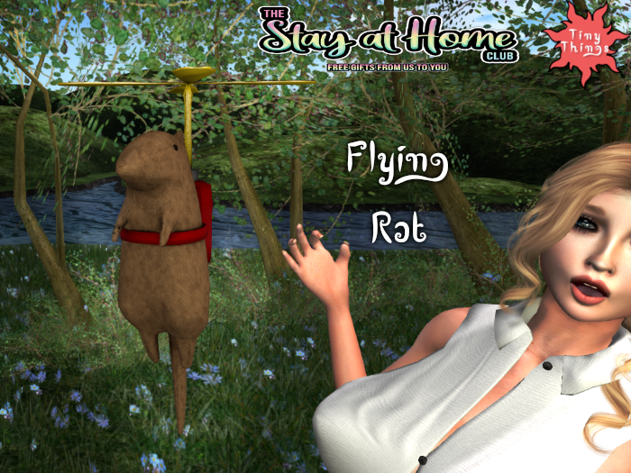 Tiny Things - Flying Rat