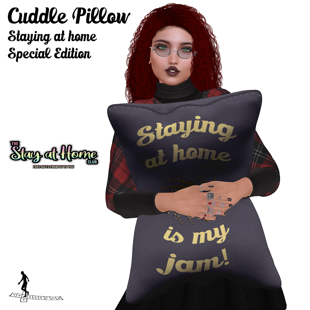 *~*HopScotch*~* - Cuddle Pillow