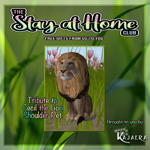 WK Wild Kajaera - Shoulder Pet