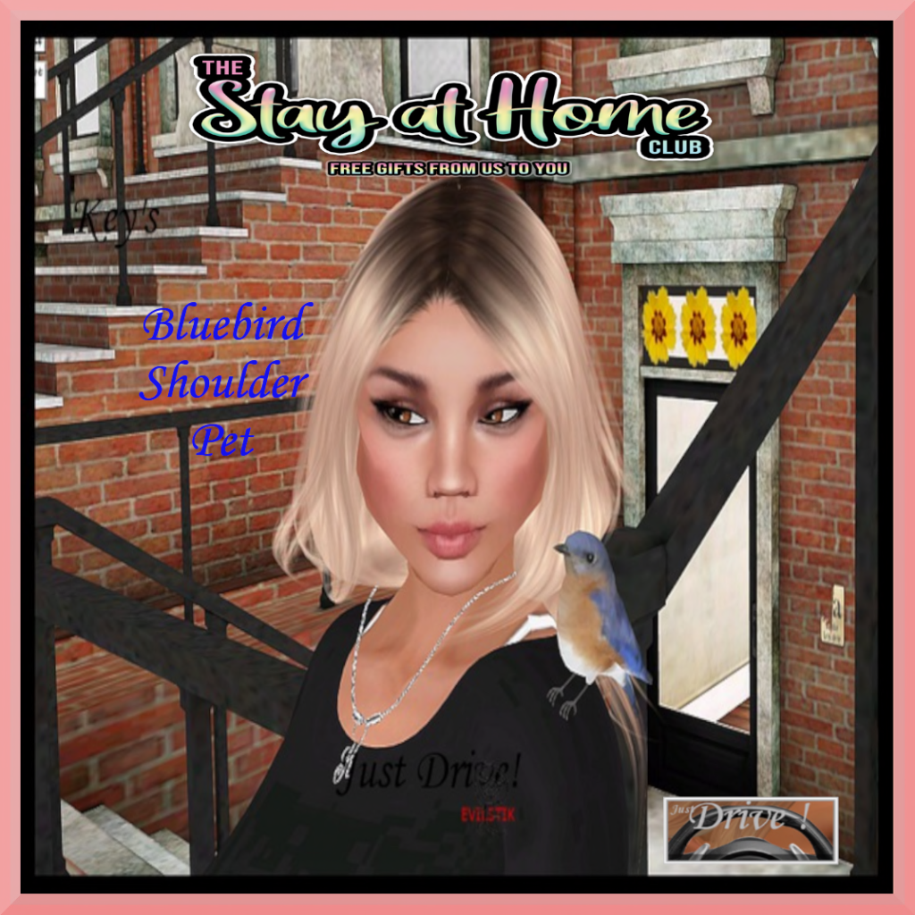 Key's Just Drive - Bluebird Shoulder Pet
