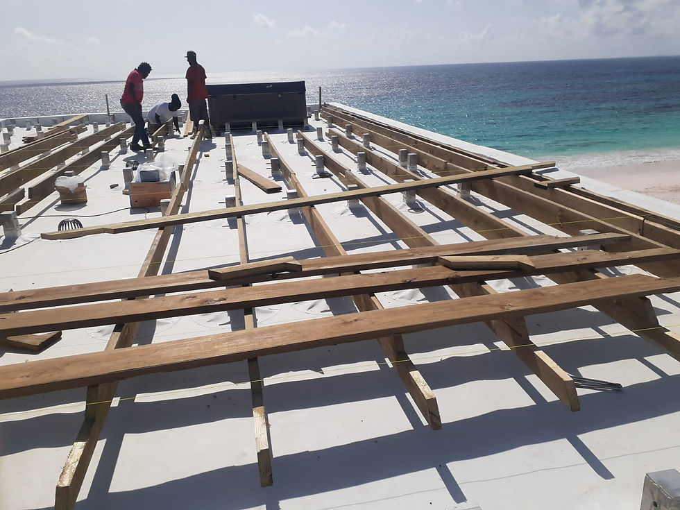 LA PALMERAIE Bahamas Project