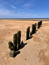 IMG_5960.jpeg