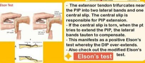 Elson's ELSON´S TEST