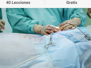 Captura de pantalla 2021-07-08 a las 14.17.43.png