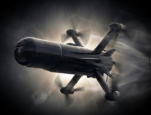 Stalker StrikerMini (Rubi-2)_edited.jpg
