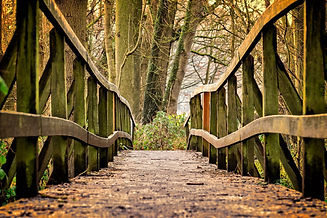 Pont hypnose-3024773_1920.jpeg