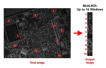 Redwood_Feature4_edited.jpg