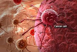 Facts About Cancer