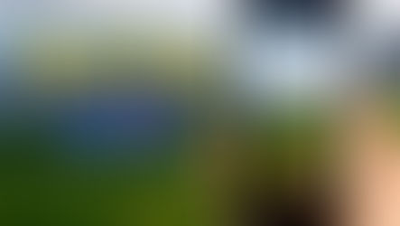 Pokemon Go Fest frappé par des pannes, Niantic à distribuer des remboursements