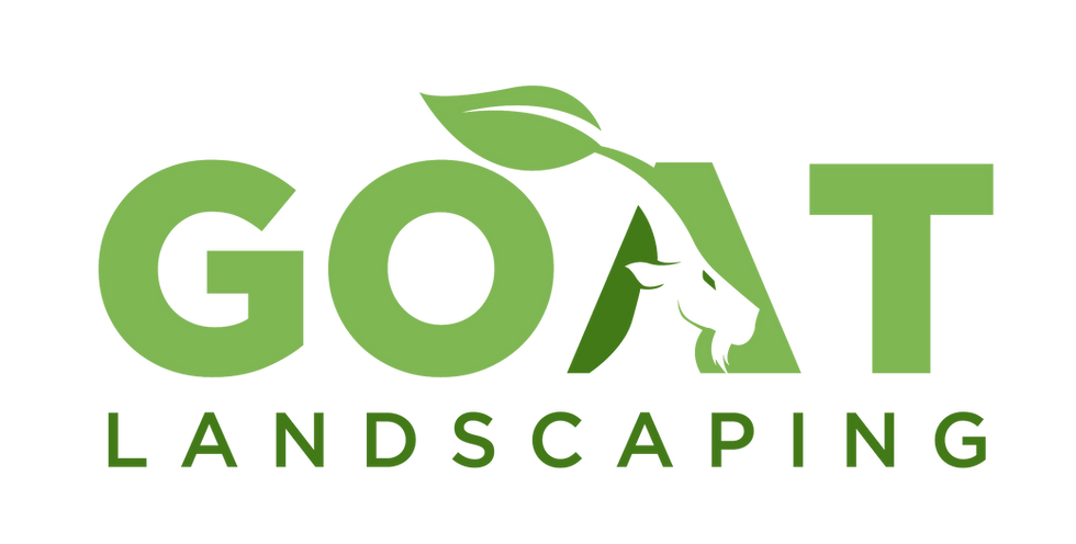 goat v1-01_edited_edited.png
