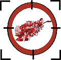 map_pic.gif